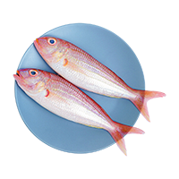 Fresh Fishmonger